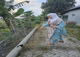 গজারিয়া