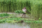 মুন্সীগঞ্জের সময়